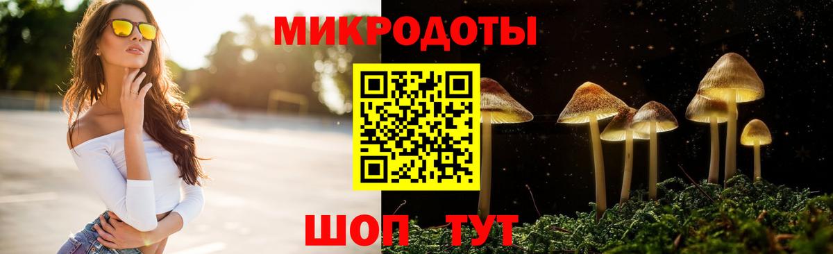 Псилоцибиновые грибы GOLDEN TEACHER Бирск